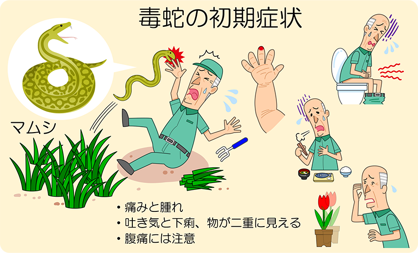 毒蛇 血清療法