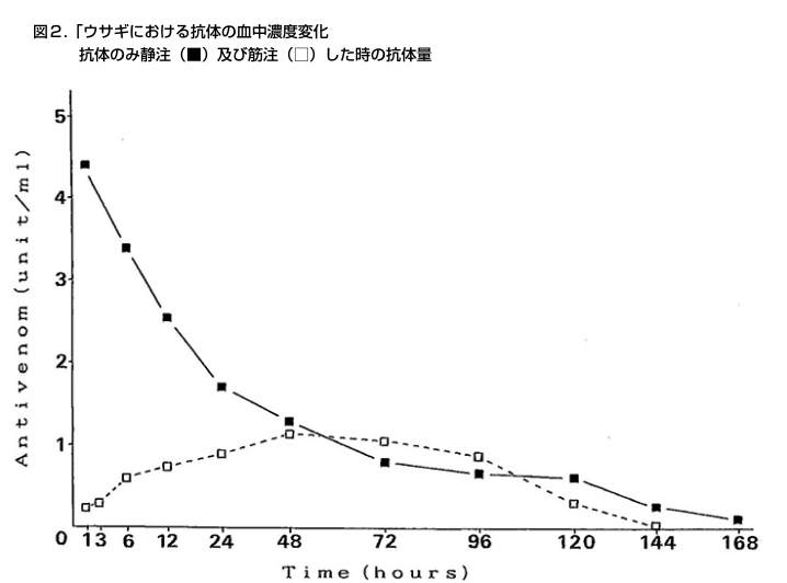 ウサギにおける抗体の血中濃度変化 抗体のみ静注（■）及び筋注（□）した時の抗体量