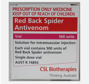 Redback spider antivenom