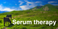 Serum Therapy Banner 120px x 60px