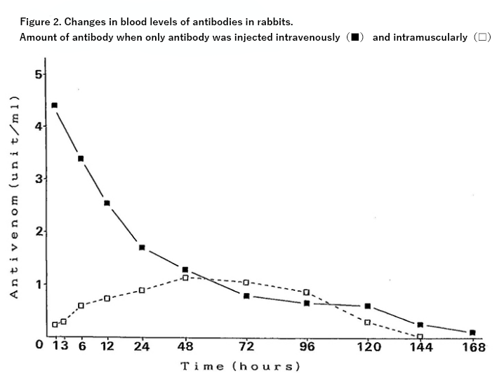 Figure 2. Changes in blood levels of antibodies in rabbits.Amount of antibody when only antibody was injected intravenously（■） and intramuscularly（□）